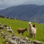 Дом отдыха The Big 