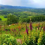 Дом отдыха The Big 