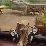 Дом отдыха The Big 