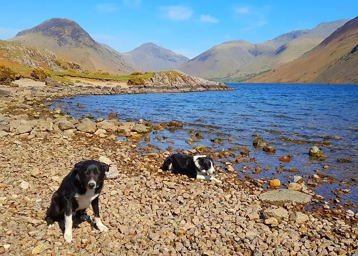 بيت للعطل The Big 