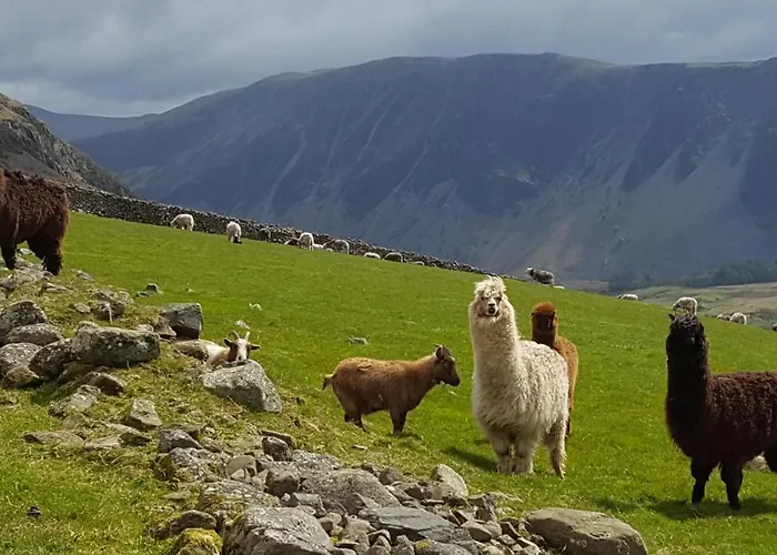 بيت للعطل The Big 