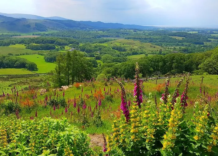 بيت للعطل The Big 