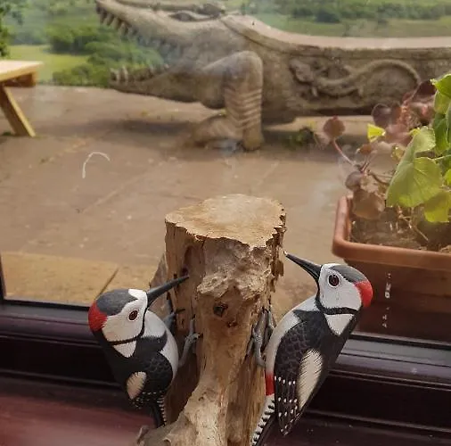 بيت للعطل The Big 